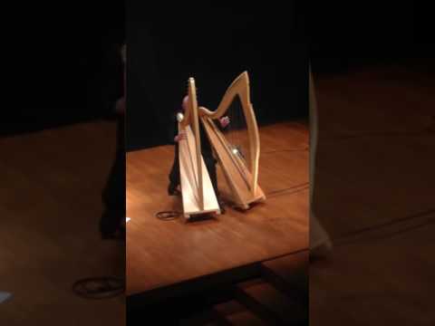 "Gaelic Raga" - Vincenzo Zitello - 1.10.2016