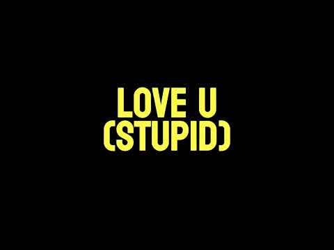 love u (stupid)