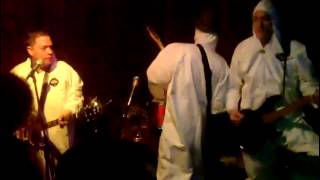 Damn Kids-Pink Pussycat