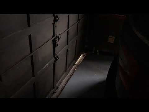 Mice Extermination in Middletown, NJ