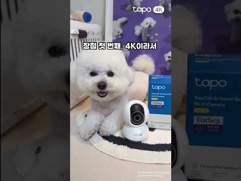 어서와, 4K는 처음이지? | Tapo C250