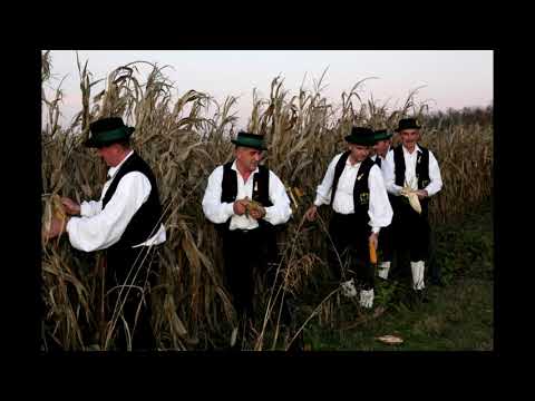 MPS Šokci - Dolinom se šetala