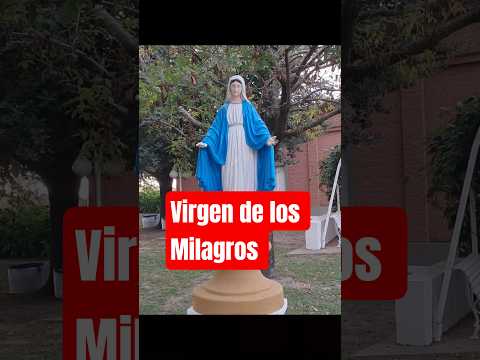 Virgen de los Milagros. Felicia Santa  Fe. Argentina.  #parati #virgen #milagros #viral