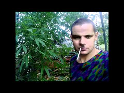 Video thumbnail for ⁠babangida — Смертельное оружие (Deadly weapon)