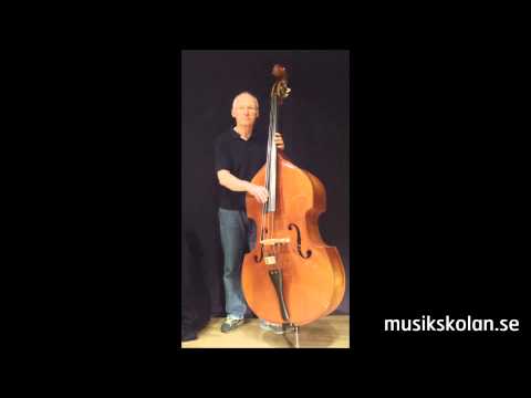 Välkommen till kontrabasavdelningen på www.musikskolan.se