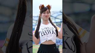 近くに寄ってきた可愛いきつね🦊 #台湾チア #cheerleader #치어리더 #fancam 2024/6/15【台湾チアTV】