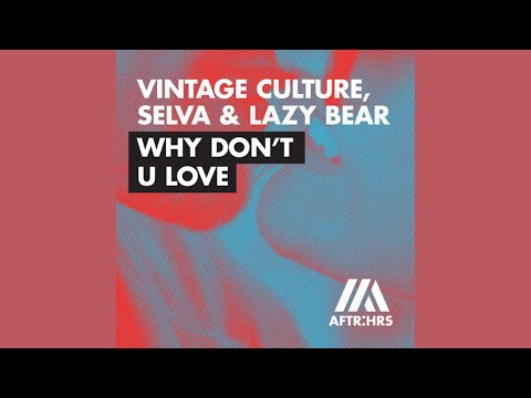Vintage Culture, Selva, Lazy Bear - Why Don't U Love (Extended) [Audio]