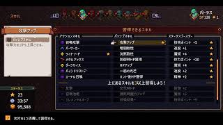 #16 Chained Echoes(JRPG)