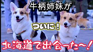 北海道でついに！イオラを迎えてからの念願が叶いました！