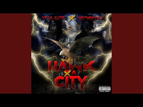 HAWK DA CITY (feat. Method Lou)