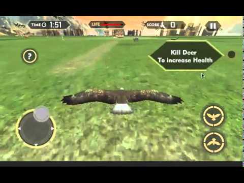Wild Eagle Hunter Simulator 3D Video