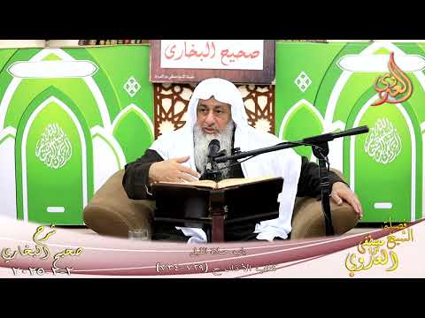  النور الساري ـ البخاري ( 235 ) باب صلاة الليل ـ الشيخ مصطفى العدوي ح 729 734  تاريخ 2  2 2025 