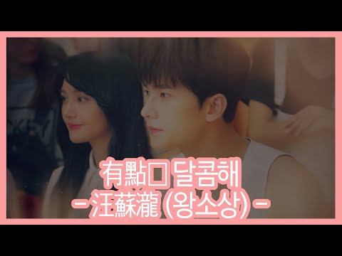 달콤해(有点甜, 유점첨) - 왕소상 (미미일소흔경성ost) / 가사, 병음, 한글자막, 한글가사