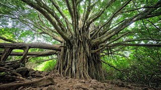 Holy Spirit You Are Welcome Here | Instrumental Worship | Calming Music | Healing Music