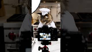 Download lagu Today's Recipe 🤤😋 #dothingsyoudontwanttodo mp3 Download lagu Today's Recipe 🤤😋 #dothingsyoudontwanttodo mp3