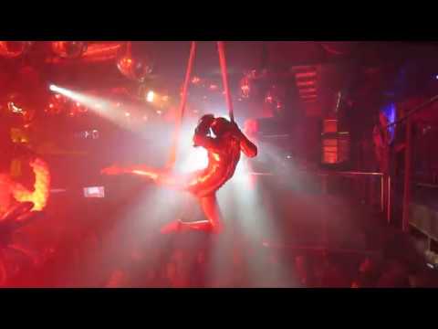 aerial net wild carousel duplex party