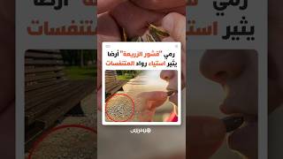 رمي "قشور الزريعة" أرضايثير استياء رواد المتنفسات thumbnail