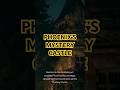 Phoenix’s Mystery Castle | Strange Desert Hideaway 🏰 #history #castle #arizona #phoenix