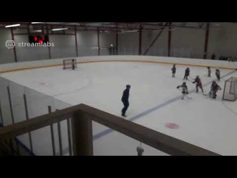 U8 Tappara Bruins - Ilves Detroit Tesoma 2 28.2.2021