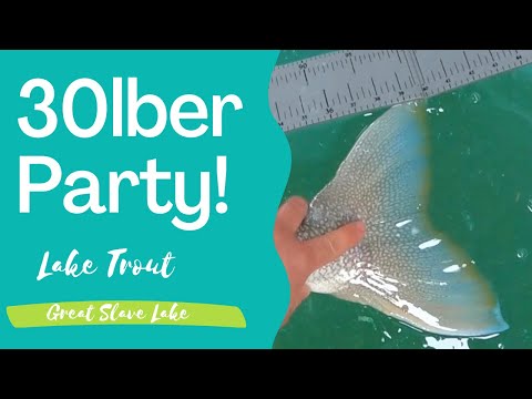 Giant Lake Trout - Ice Fishing Great Slave Lake - Personal Best Look-back