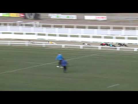 2021.12.04. 04. futam - Mester Tréner Díj