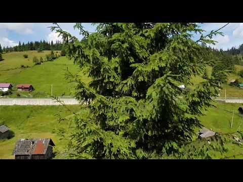 Beautiful Romania. Train IR1833 Iasi-Timisoara. Mestecanis