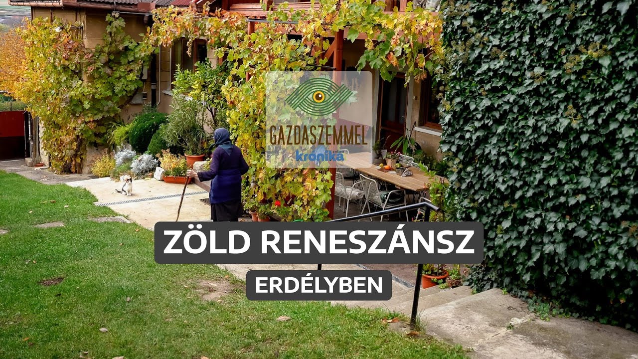 Virágzik a konyhakertmozgalom Kalotaszegen | Gazdaszemmel