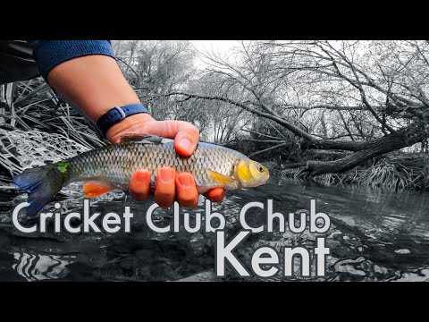 Fishing A Small Kent Brook The Traditional Crabtree Way For Chub. Stick Float & Centrepin.