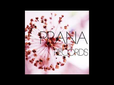 Alankara & Jazzy D - Saxxual (2014 Edit)