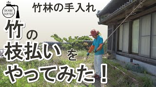 【手入れ】竹林 整備 の 作業「 竹 の 枝払い を やってみた！ 」竹 の 伐採 侵入竹除去 竹 加工 林業 山仕事【草刈り動画】