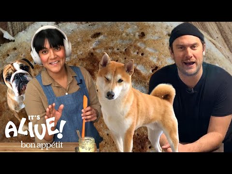 Brad and Sohla Make Dosas | It's Alive @ Home | Bon...