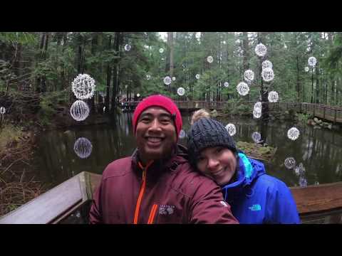 Vancouver Whistler Holiday December 2019