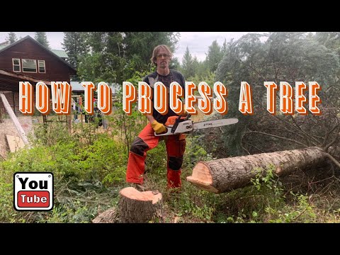 We’re learning how to process firewood start to finish