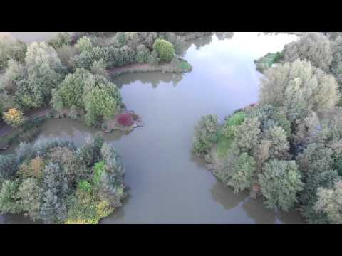 Partridge Lakes Fishery | Gold Lake