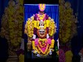 Om Namah Shivaya