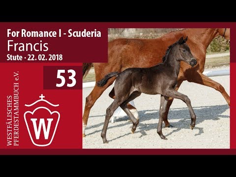 53 Francis SF v. For Romance I -  Scuderia