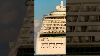 Radiance of the Seas 🛳️ #travel #like #subscribe #comment #youtubeshorts #shortvideo #short #shorts