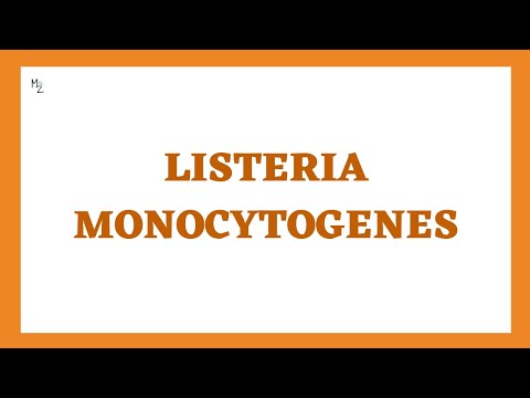 Thumbnail for Listeria monocytogenes - Listeriosis: Morphology, Pathogenesis, Clinical Findings, Treatment