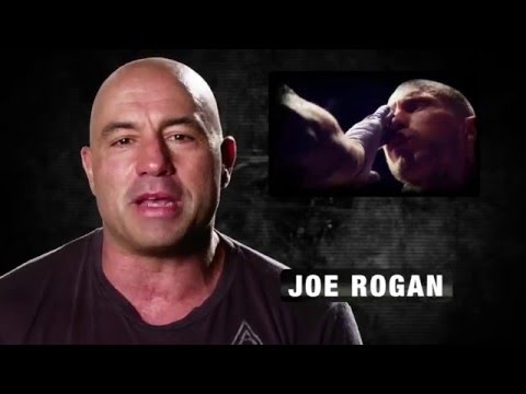 Fight Night Orlando: Donald Cerrone Ultimate 8