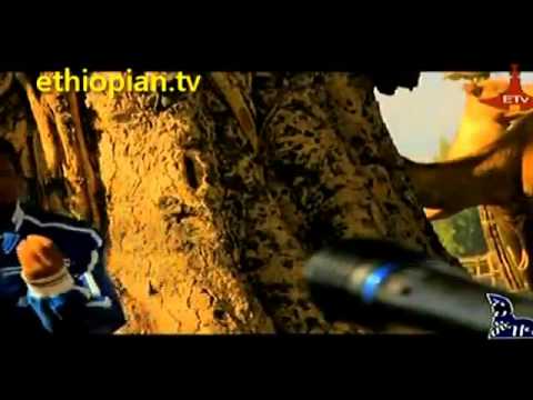 Birhanu Tezera   Tebechisa