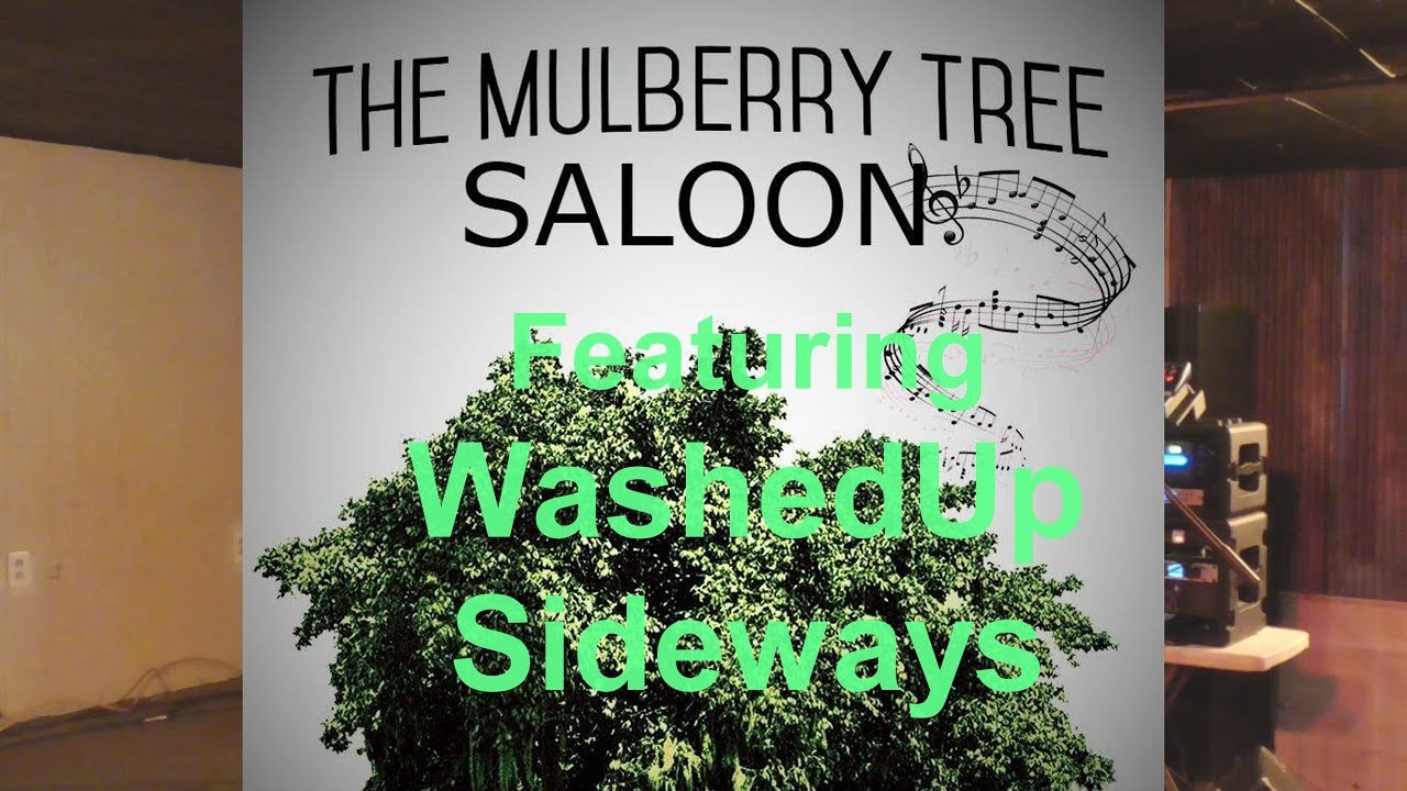 Promotional video thumbnail 4 for WashedUp Sideways
