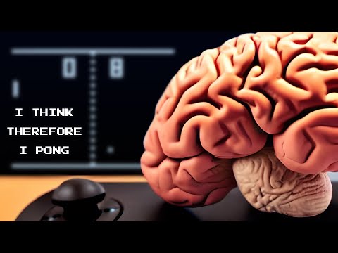 Lab-Grown Human Brain Cells Learned to Play Pong (and Scientists Want to Get It Drunk!)