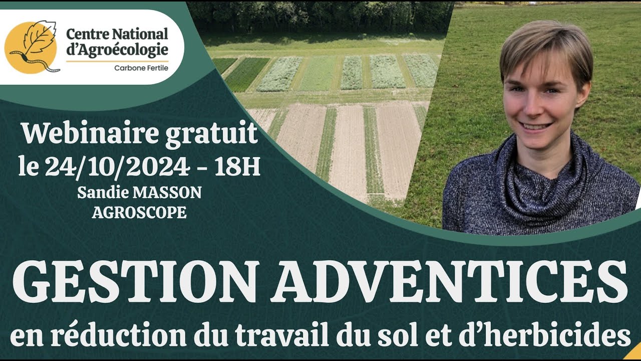 Gestion des adventices en SD, TCS et LABOUR, retour d’essais pluri-annuels - Sandie MASSON - CNA