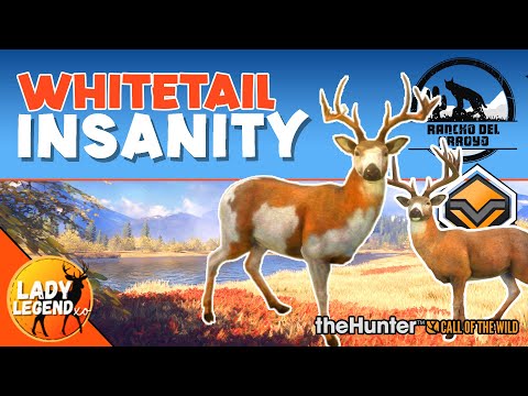 My BIGGEST Rare Whitetail EVER & Great One Grind Trophies!  Call of the Wild