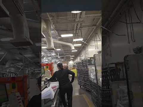 Mail Processing Clerk Salary