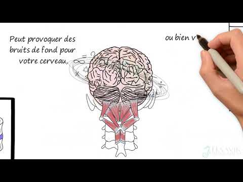 Lien entre le cerveau, la santé et les ajustements chiropratiques centre de recherche Haavik