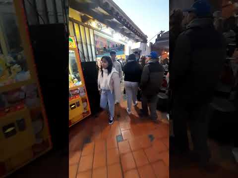 Ver9334, Paseo Comercial Villa Gesell, Buenos Aires 2026, Argentina