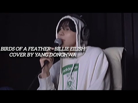 BIRDS OF A FEATHER - Billie Eilish Cover by YANG DONGHWA POLARIX