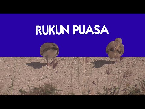 Rukun Puasa | KITAB PUASA