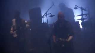 Dominique A | Magny le hongre | 26.06.2015